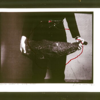 Description of the image